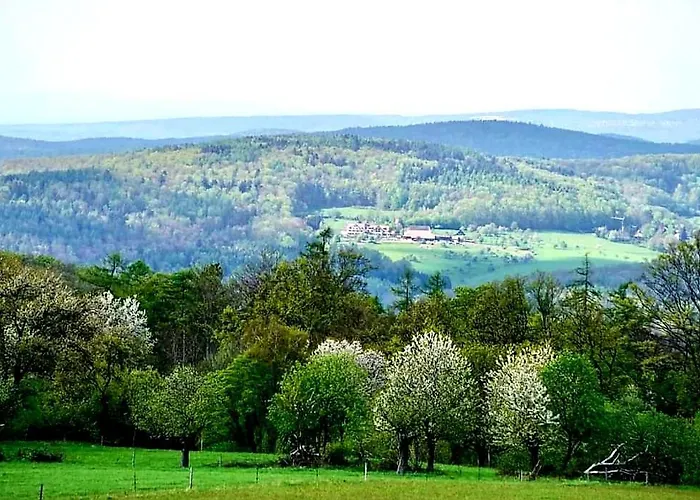 Geishoehe Landgasthof Rose *